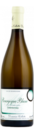 Bourgogne Chardonnay - Domaine Collotte