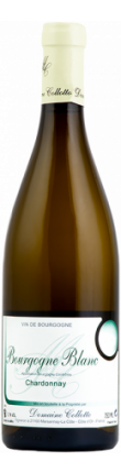 Domaine Collotte - Bourgogne AOC Chardonnay 